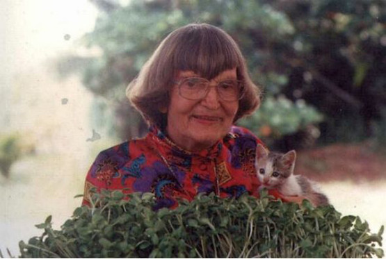 Ann Wigmore a búzafűről